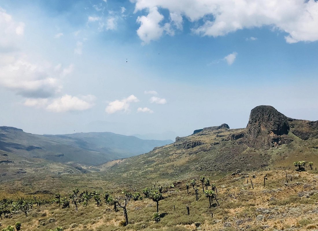 Bushiyi trail Mt Elgon Hiking