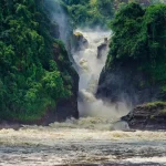 The Wild Wonders of Murchison Falls