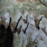 Tour Amabere Ga Nyinamwiru Cultural Site