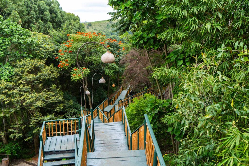 Kyaninga Lodge walk way by the crater rim