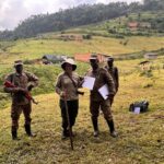 Tracking Gorillas in Buhoma