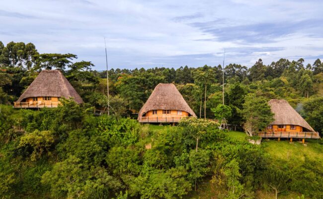 Kyaninga Lodge near Kibale,
