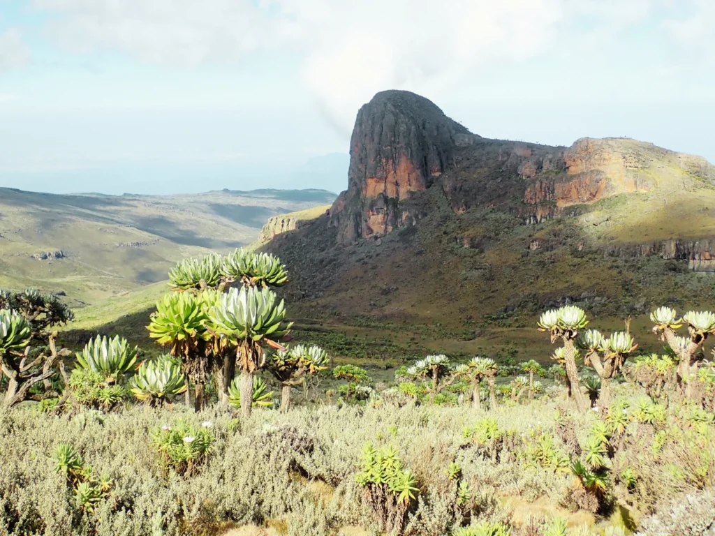 Mt Elgon Hiking