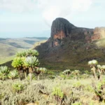 Mount Elgon Frequently Asked Questions