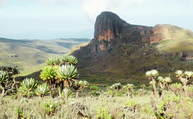 Mt Elgon Hiking
