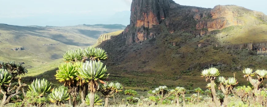 Mt Elgon Hiking