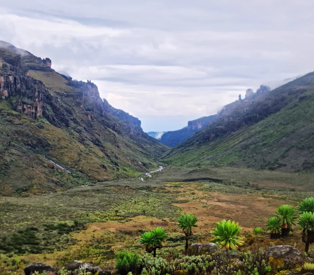 Saum Gorge - Mt Elgon Hiking