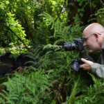 What You Need to Know About a Primate Filming Safari in Uganda