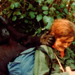 Visit Dian Fossey's Grave Rwanda in Volcanoes National Park