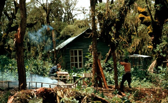 Karisoke Research Center Rwanda