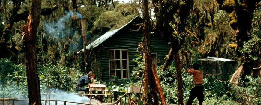 Karisoke Research Center Rwanda